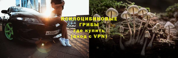 ГАЛЛЮЦИНОГЕННЫЕ ГРИБЫ Алексеевка