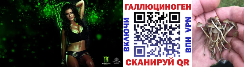 даркнет сайт OMG зеркало Галлюциногенные грибы мицелий Пыталово